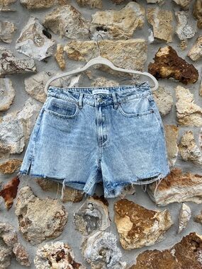 Witty fox vintage cutoff Blue Denim distressed Shorts NWOT